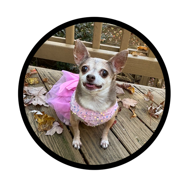 The Potato Industrial Complex